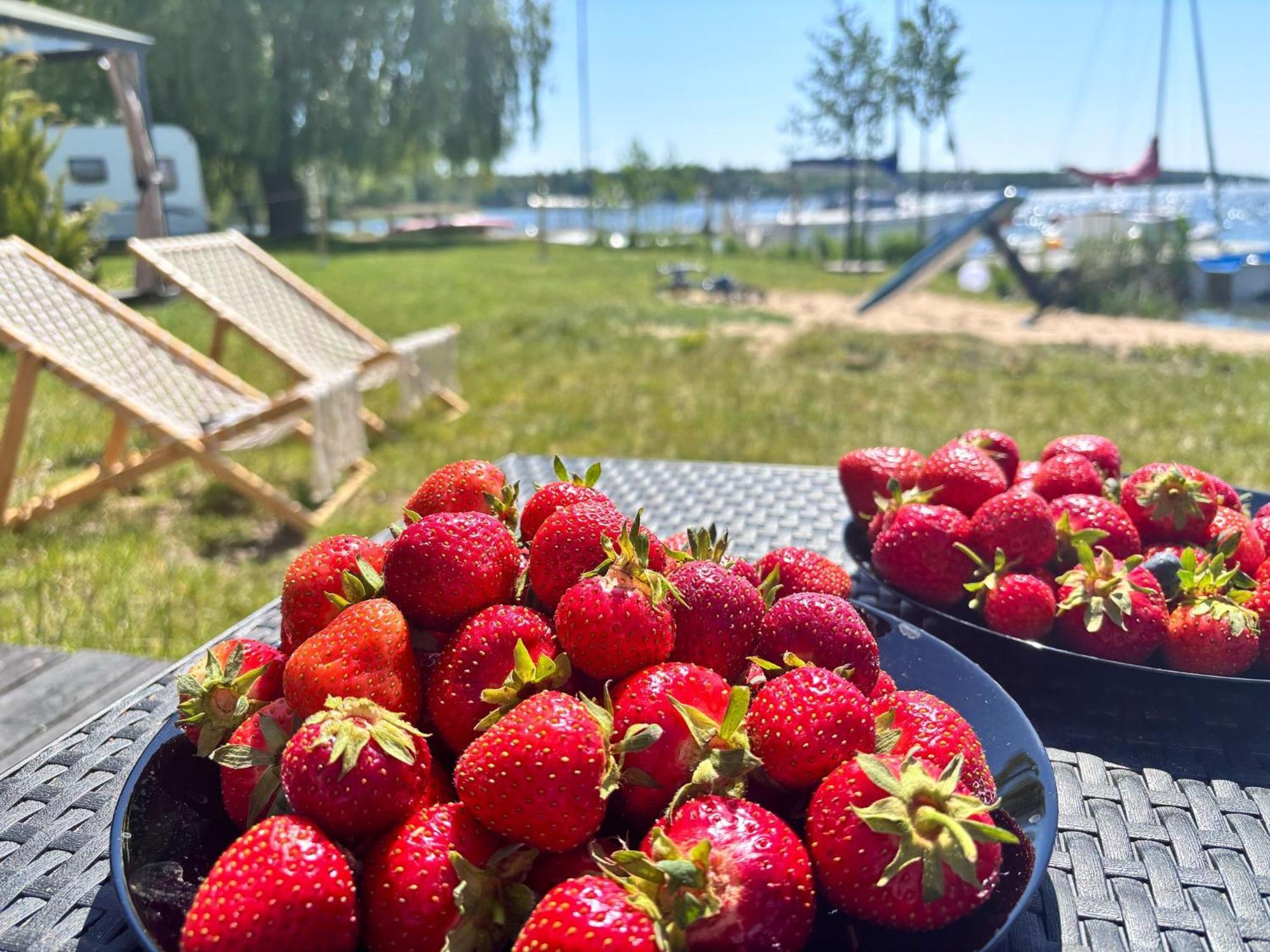 3 Widoki Kiekrz -domki Tiny House Z Prywatna Plaza I Pomostem Nad Jeziorem Kierskim