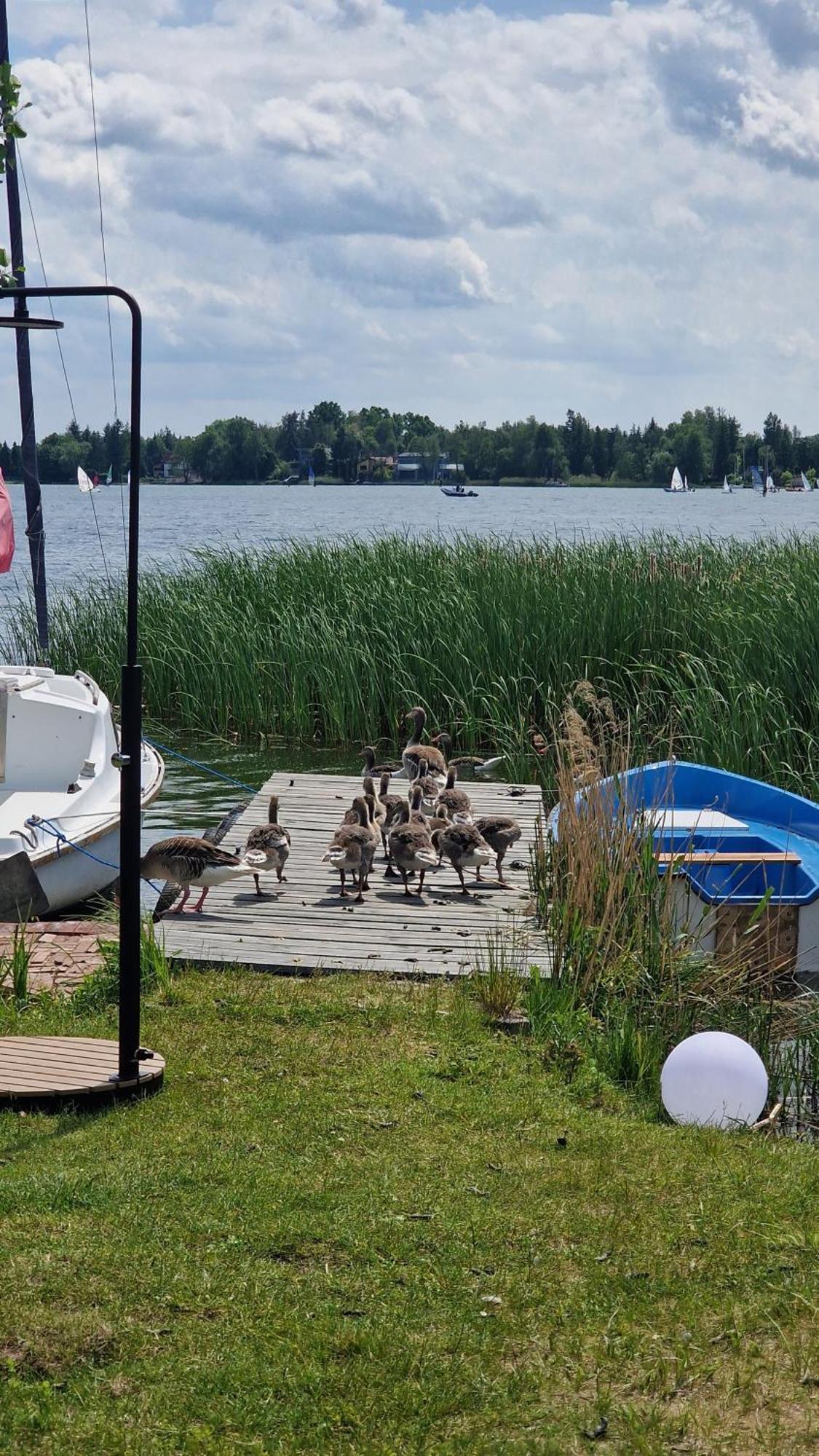 3 Widoki Kiekrz -domki Tiny House Z Prywatna Plaza I Pomostem Nad Jeziorem Kierskim Campsite Poznan